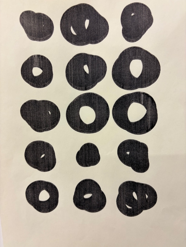 cockroach glyphs - biro