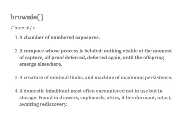 definition of brownie - pencil on paper