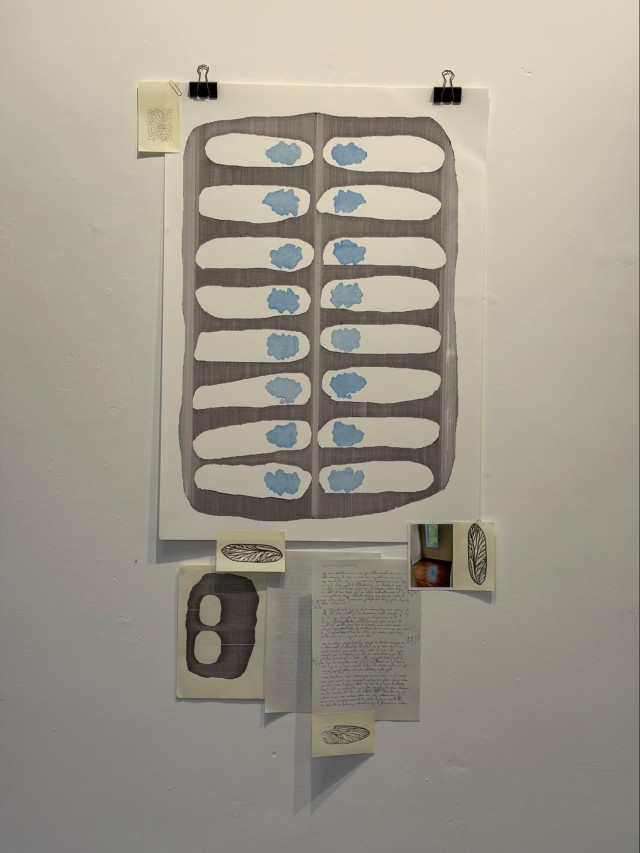 large drawing in biro and carbon paper with a selection of smaller drawings and photographs, sticky notes containing drawings of wings, held to a white wall with bulldog clips